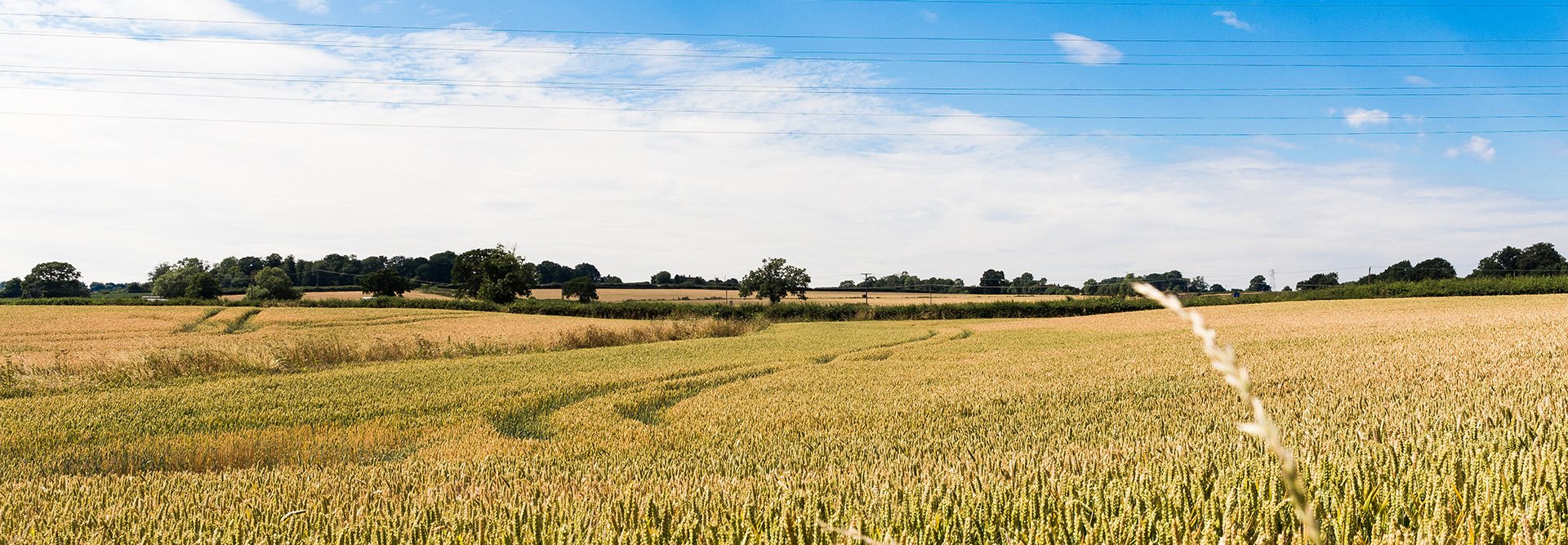 Shifnal Field